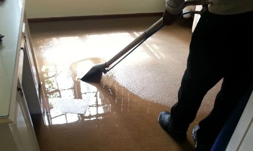 How Water Extraction Services Prevent Mold and Structural Damage